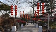 谁说城里年味儿淡？春节期间郑州100多场公园广场活动，嗨翻天！