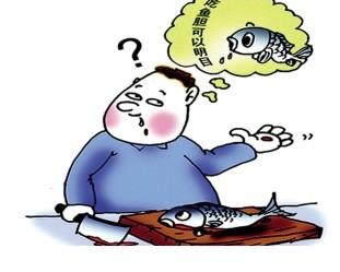 鱼胆明目纯属忽悠 所含胆汁毒素能损害人体肝肾