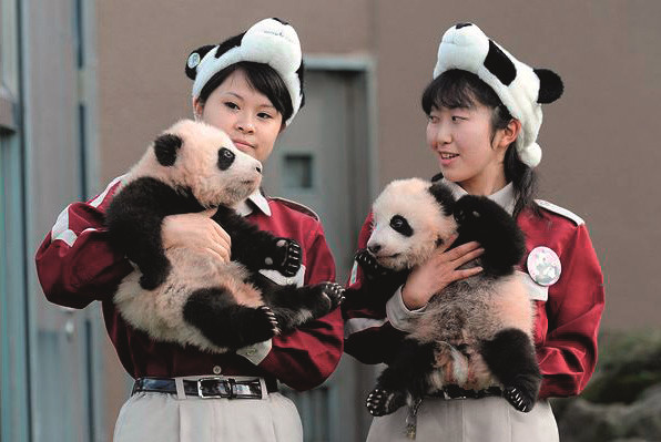 baby-panda-3_1211310i_副本