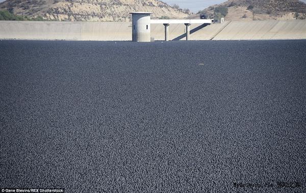 洛杉矶水库撒入近1亿个黑球：太神了