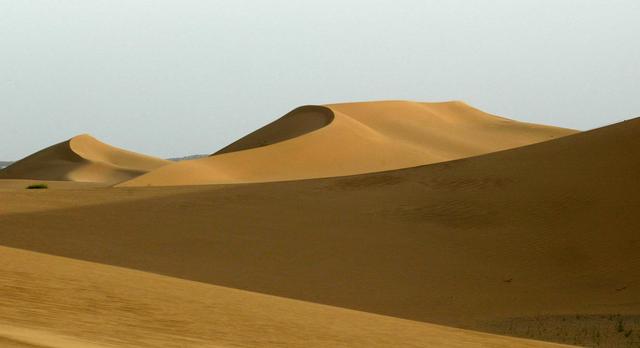 沙漠里的沙子为什么不能直接当建材用，这些回答亮了！