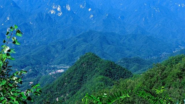 原始森林、泉水叮咚、谷深幽静，河南这9个绝美秘境最适合全家游，端午节带孩子走起