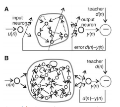 ESN_1