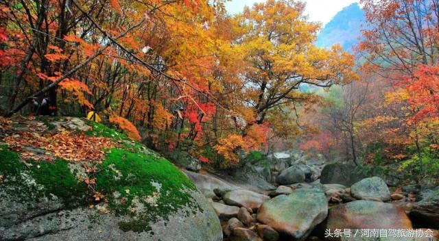 没有教师证也能免票游景区，河南这4个景区9月免票一整月