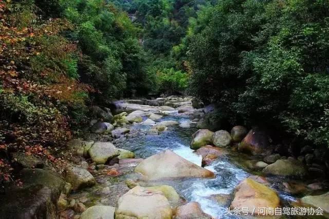 没有教师证也能免票游景区，河南这4个景区9月免票一整月