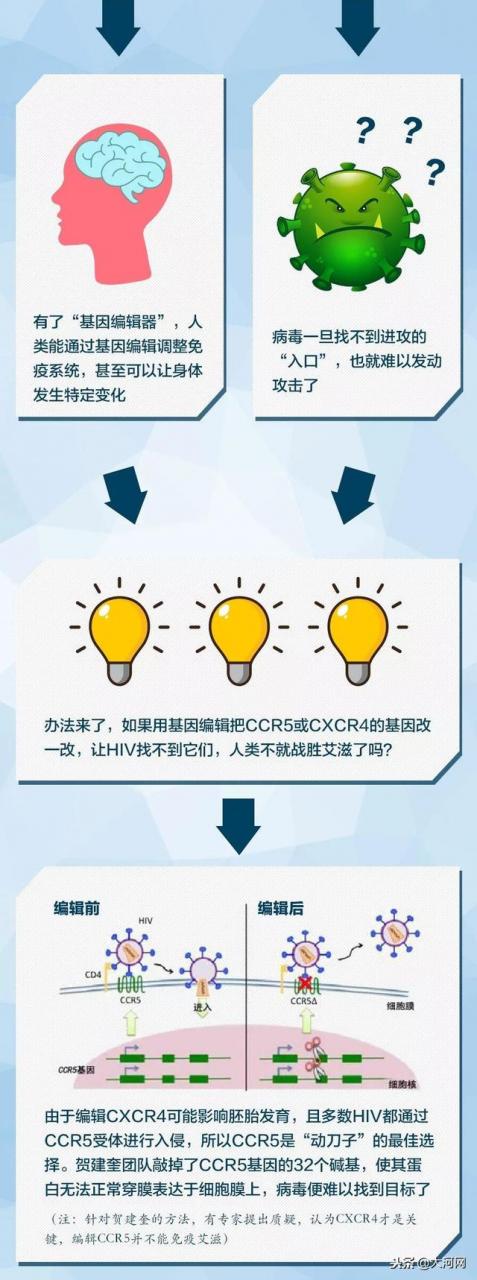 基因编辑原来是这么回事，一张图看懂了