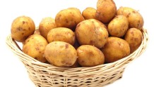 土豆进军主粮界 专家称只有马铃薯可以拯救人类