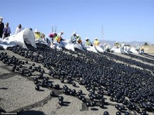 洛杉矶水库撒入近1亿个黑球：太神了