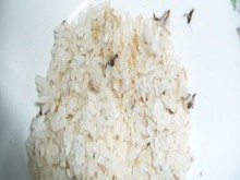 米面生虫怎么办？顺手放入厨房三宝，放一年米面也不生虫