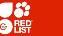 IUCN更新濒危物种红色名录：38543个物种面临灭绝威胁