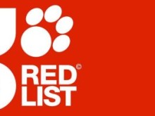 IUCN更新濒危物种红色名录：38543个物种面临灭绝威胁