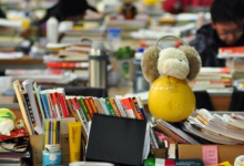 小学生家长必读：1~6年级培养重点