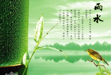 雨水--二十四节气之中的第2个节气