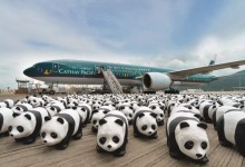 瞧瞧世界各国人民是怎么对待咱们国宝的...