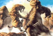 可能复活的灭绝动物有哪些?