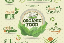 什么是有机食品？