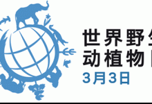 亚洲最容易受伤的动植物,写在世界野生动植物日