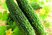 夏天吃苦瓜很重要 苦瓜的这几种做法一定要知道哦
