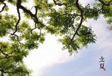立夏（二十四节气中的第7个节气）