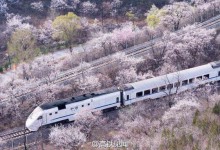 高铁与动车有什么区别？