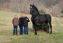 那些巨兽,未来还能看的见吗?