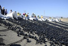 洛杉矶水库撒入近1亿个黑球：太神了