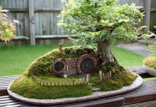 揭秘：室内绿植能够降低PM2.5吗？