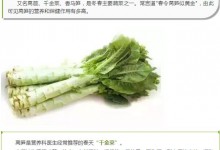 没想到常见的莴笋这么好,不仅是春天的千金菜,还是抗癌霸王菜