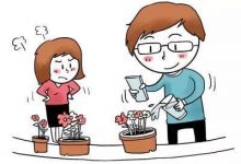 流传于网络的养花妙招大全,真的很管用!