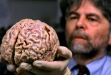 心跳不再、呼吸停止就是死亡？大错特错