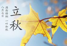 今日立秋 | 谁说秋萧瑟，立秋也是个有