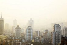 持续雾霾天气 常吃4种食物能清肺