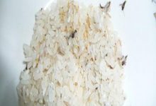 米面生虫怎么办?顺手放入厨房三宝,放一年米面也不生虫