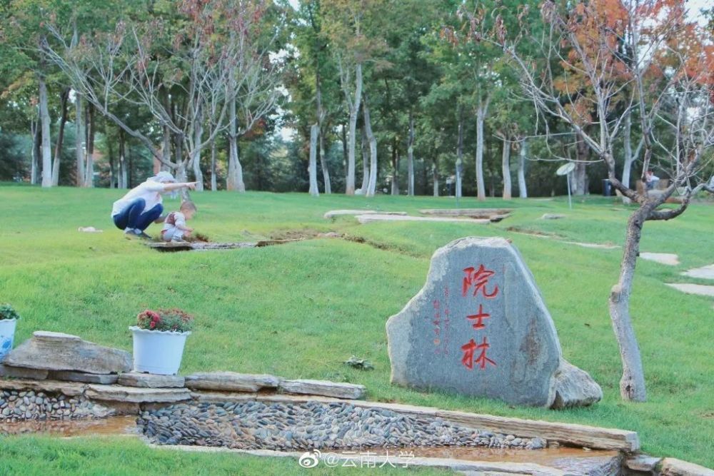 惊艳！高校官宣秋景来了，有你的母校吗？