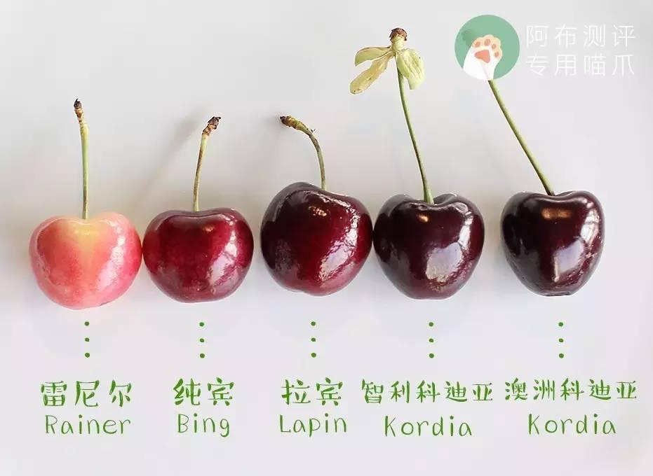 扒一扒车厘子的真面目，不知道这5点，你绝对花了冤枉钱