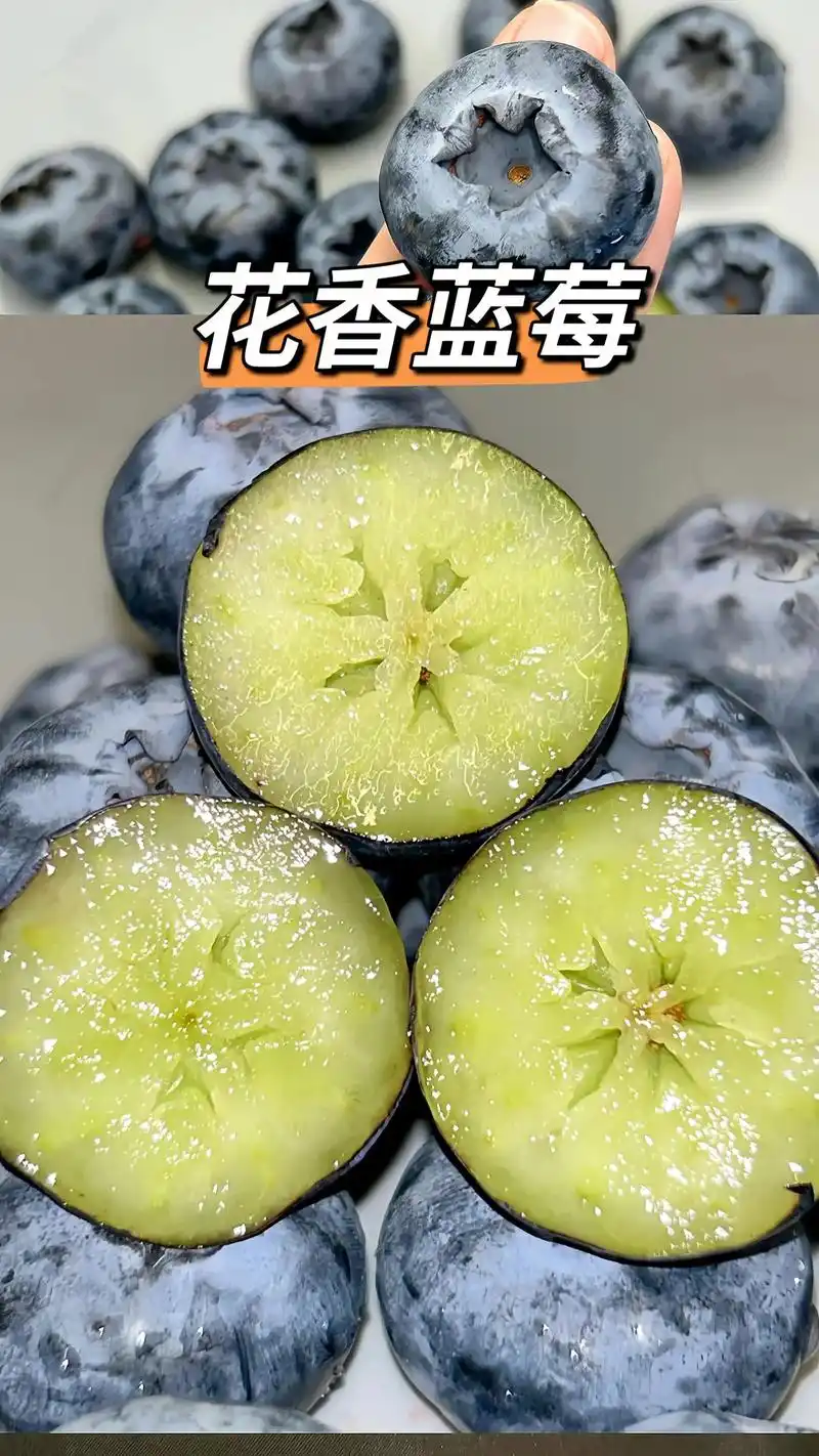 蓝莓品种干货科普｜别只看个头！一口分清脆甜、爆汁、花香款，闭眼买不踩雷