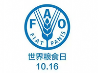 【历史上的今天】10月16日